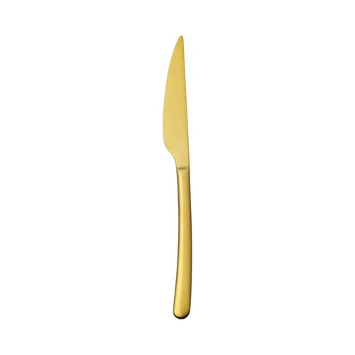Product photo Amarone Gold table knife, OVE, 237 mm